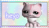 A little pet shop cat. The text on it says 'Heyo'